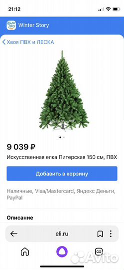 Ёлка Питерская зеленая