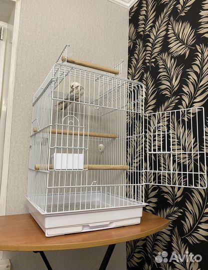 Попугаи корелла с клеткой