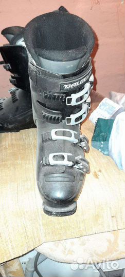 Горнолыжные ботинки dalbello