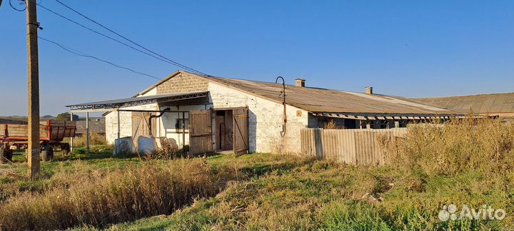 Животноводческая ферма продаю