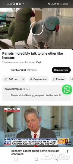 Печальное знакомство