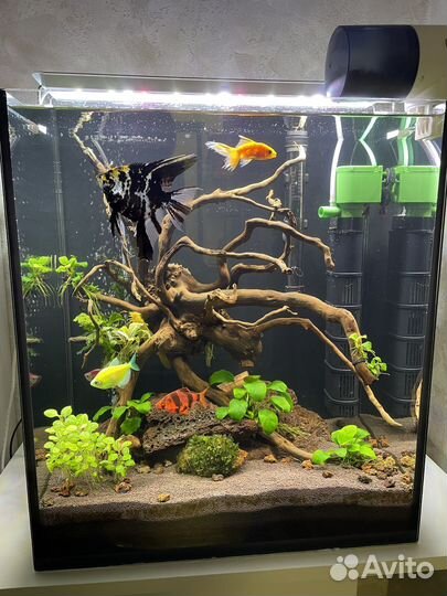 Аквариум 45 литров