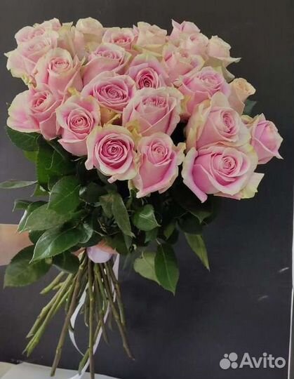 Букет 25 роз Эквадор