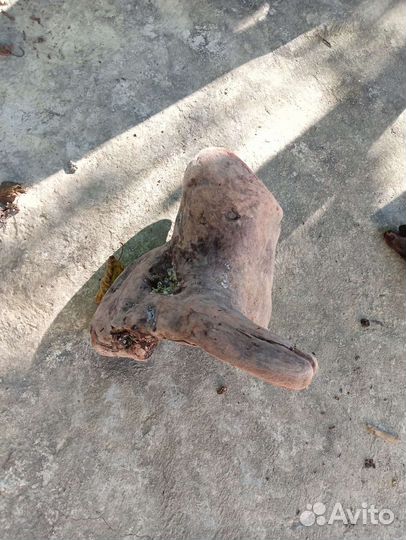 Коряга для поделок, коряга для террариума