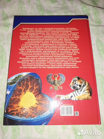 Энциклопедия для детей 