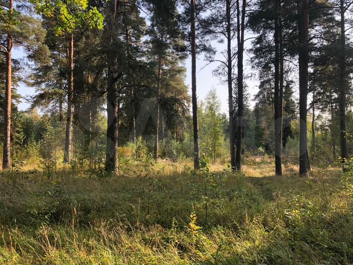 Участок 17 сот. (ИЖС)