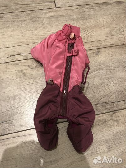 Одежда для маленьких собак