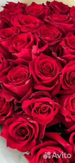 Красивый свежий букет красных роз 25 шт Тольятти