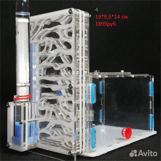 Муравьиная ферма формикарий