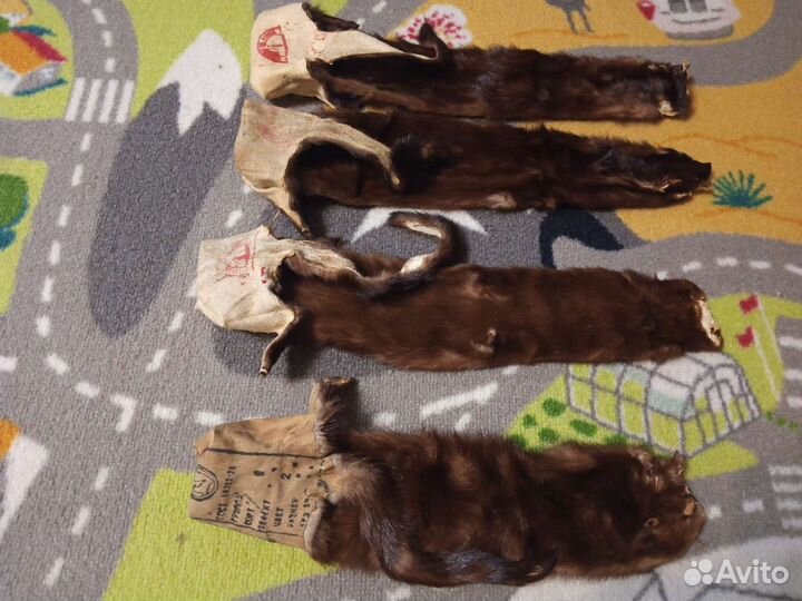 Шкурки норки СССР