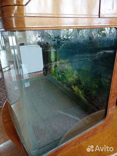 Аквариум