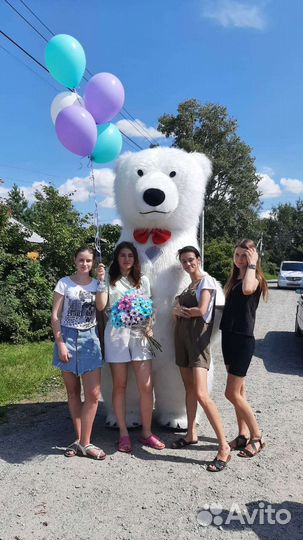 Поздравление на любое мероприятие Белый Мишка