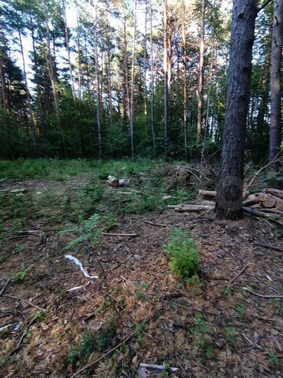 Участок 6,6 сот. (ИЖС)