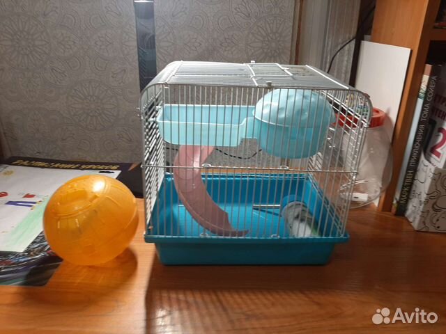 Клетка для хомяка и шарик
