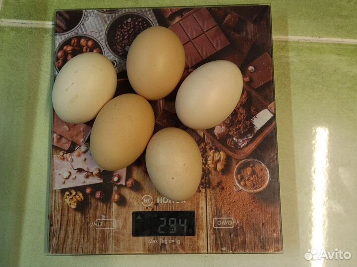 Домашние куриные яйца