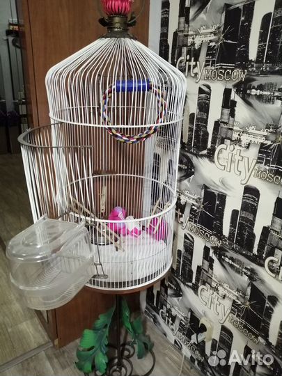 Клетка для птиц новая