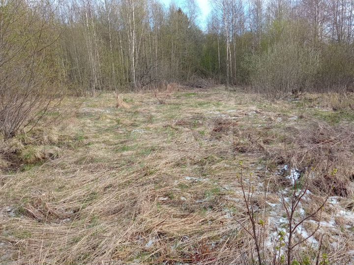 Участок 12,6 сот. (СНТ, ДНП)