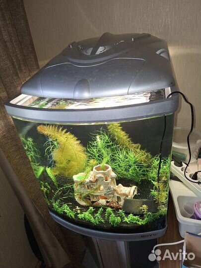 Аквариум панорамный с тумбой