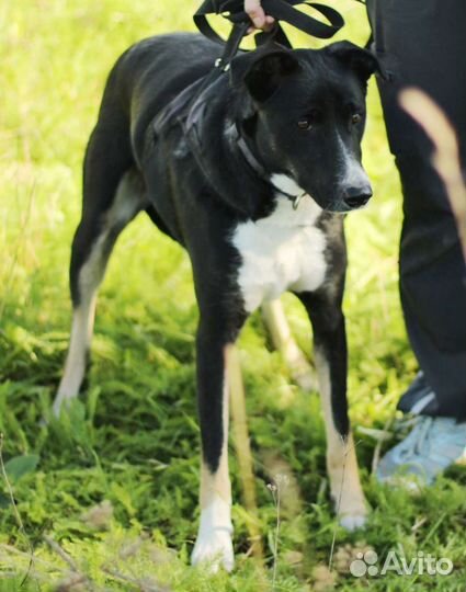 Скромная Магда