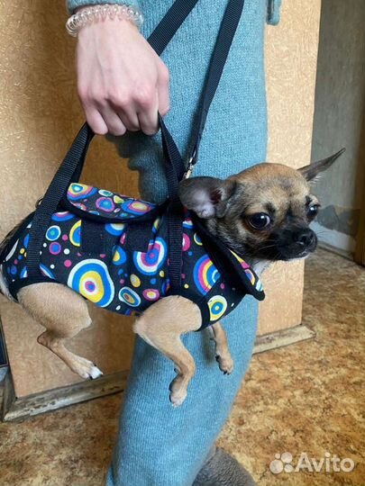 Переноска S