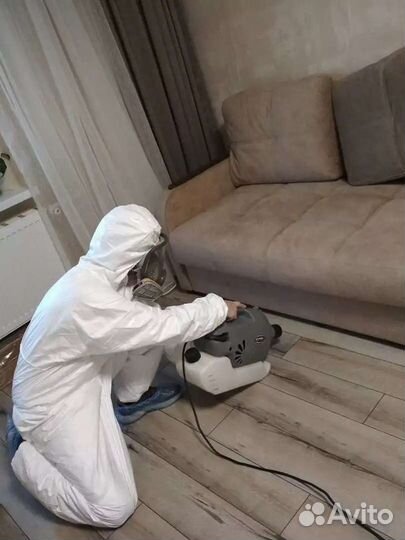 Уничтожение тараканов и клопов