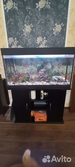 Аквариум с тумбой