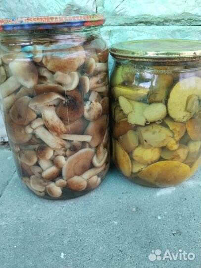 Грибы соленые