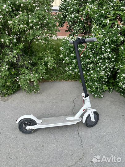 Самокат xiaomi m365 pro