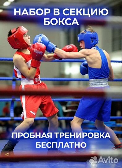 Секция бокса