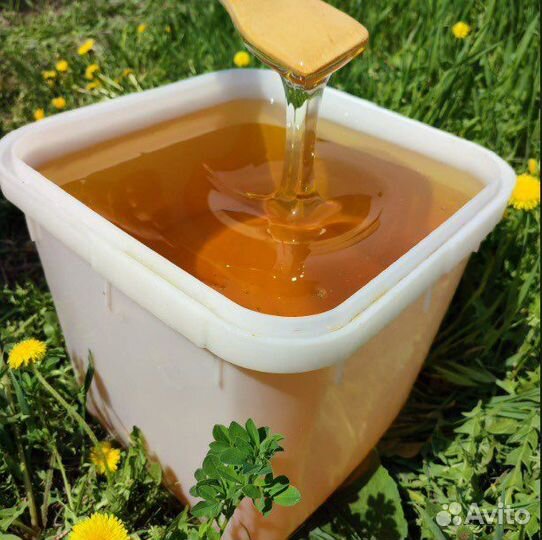 Мед в кубоконтенерах свежий 2023