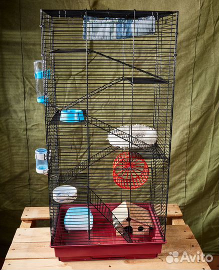 Большая клетка для грызунов крыс дегу хомяков