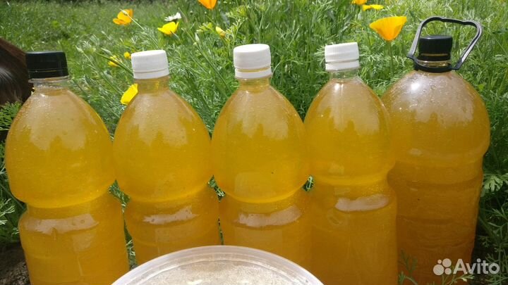 Мёд со своей пасеки свежей качки