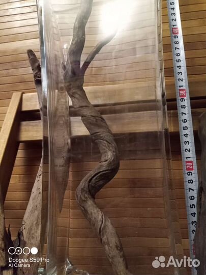 Коряга в аквариум