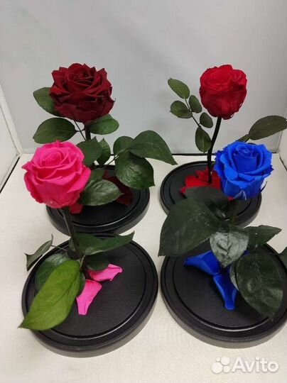 Роза в колбе оптом и в розницу