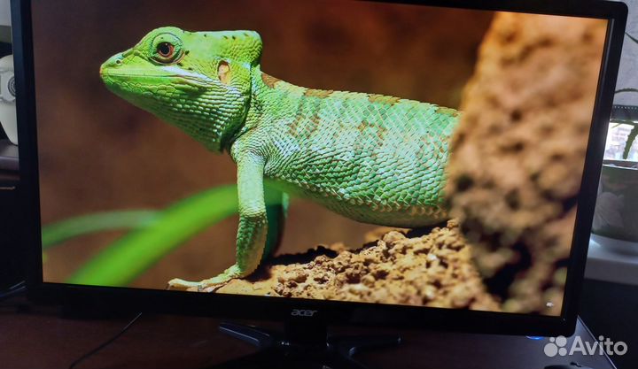 Монитор acer 24 дюйма