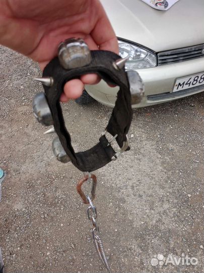 Ошейник на собаку