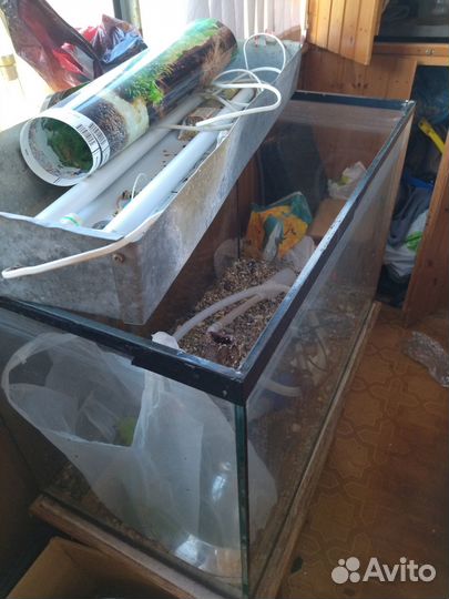 Аквариум