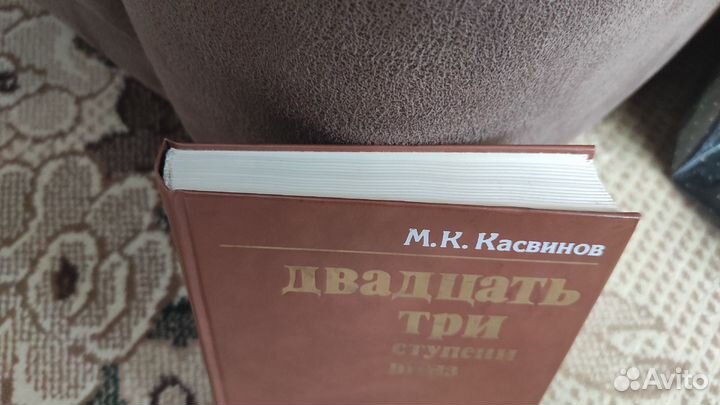 Двадцать три ступени вниз - Марк Касвинов