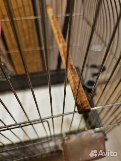 Клетка для Попугаев, птиц