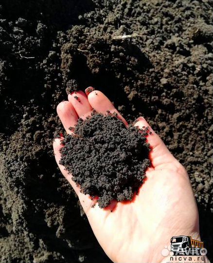 Чернозем, торф