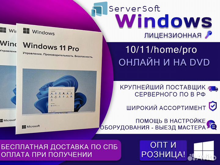 Windows 10/11 Pro и Home на физических носителях