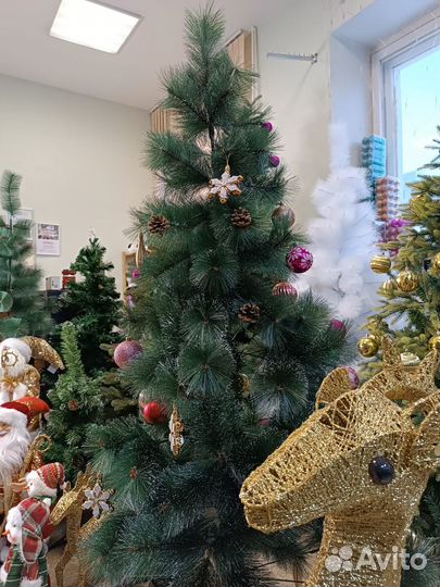 Сосна заснеженная новогодняя