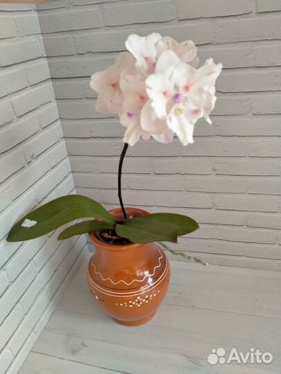 Керамическая ваза крынка