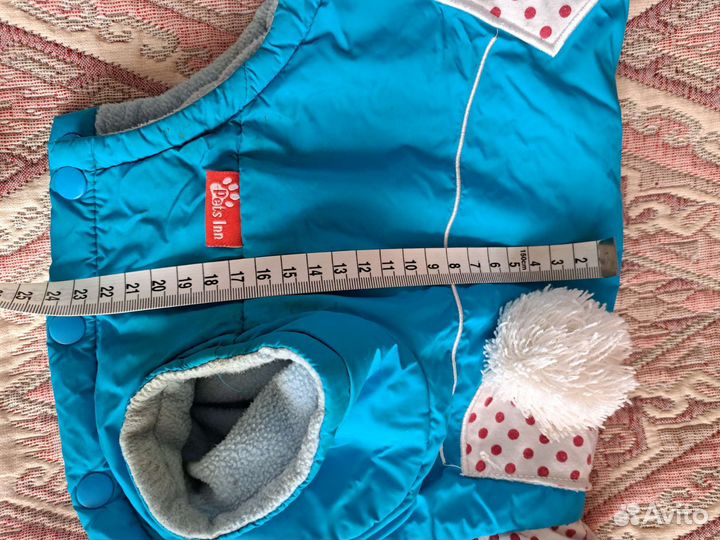 Одежда для маленьких собак бу