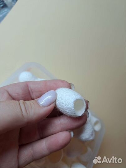 Кокон тутового шелкопряда