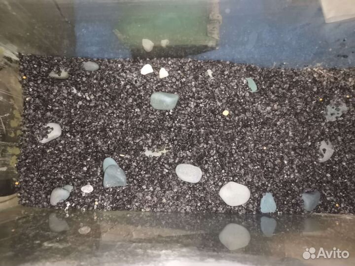 Аквариум +грунт +фильтр+крышка со светом+подстилка