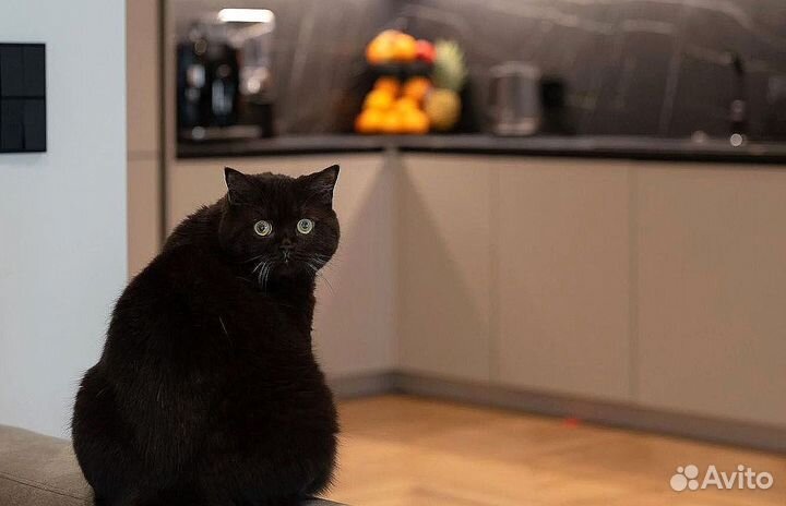 Кухня до потолка