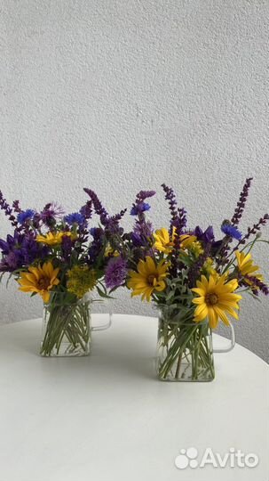 Садовые цветы