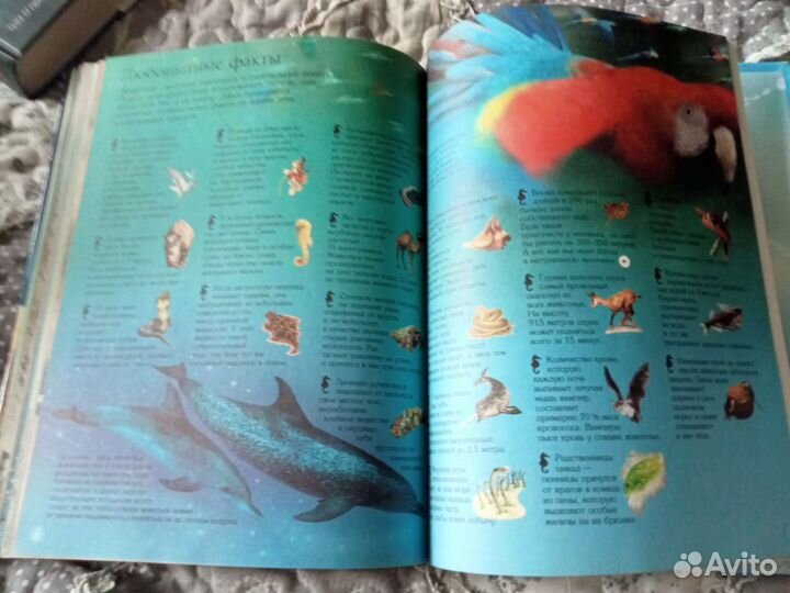 Мир животных энциклопедия