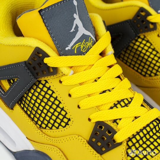 Кроссовки Nike Air Jordan 4 22274